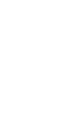 Itrootz.com | Digital Marketing Agency & Web Design / Development